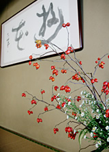 四季折々の花