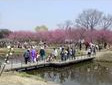 古河総合公園
